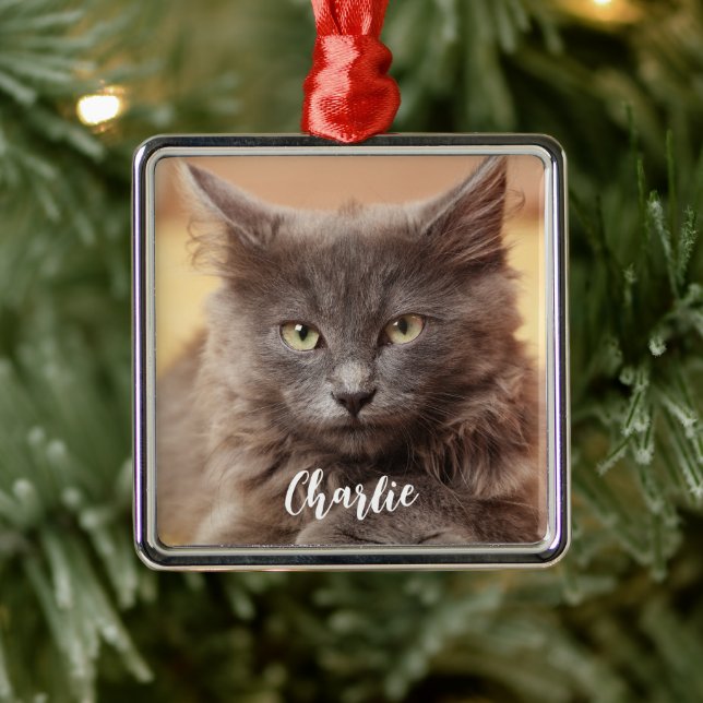 Christmas Pet Photo Name  Metal Ornament (Tree)