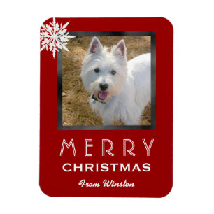 Christmas Photo 3x4 Greeting From the Dog / Pet Magnet