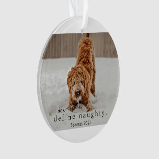 Christmas Photo Pet Ornament - define naughty