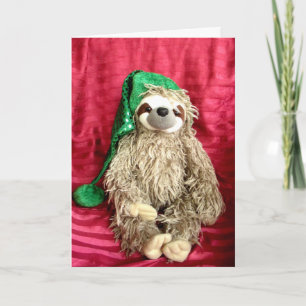 Christmas Photo Sloth Card