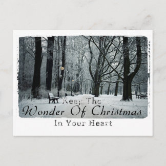 Christmas photography postcard