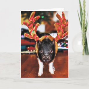 Christmas Pig Greeting Card