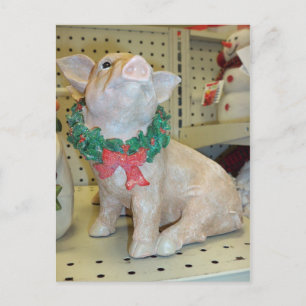 Christmas Pig Holiday Postcard