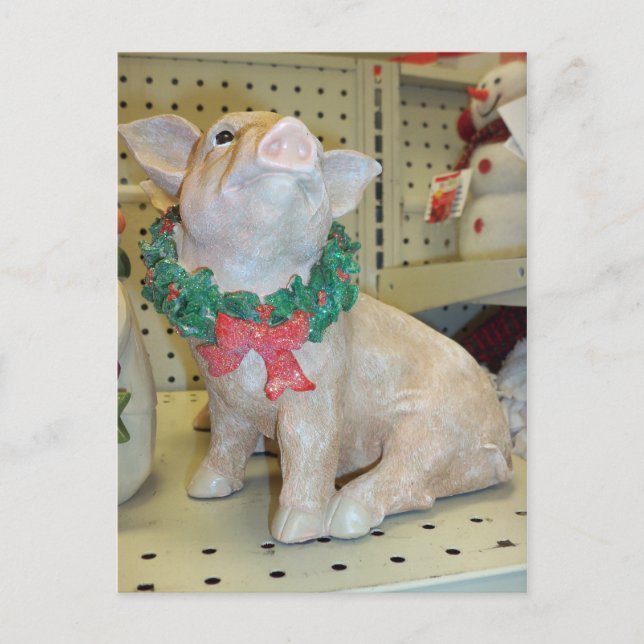 Christmas Pig Holiday Postcard (Front)