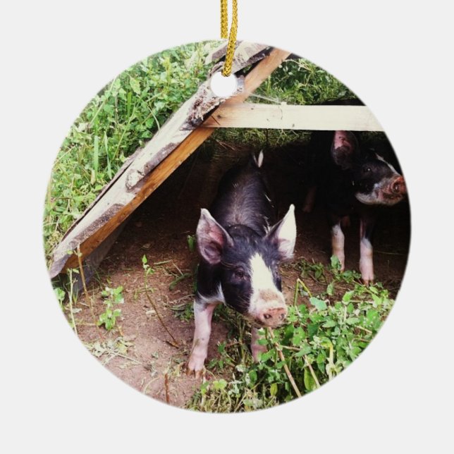 Christmas Pig Ornament (Front)