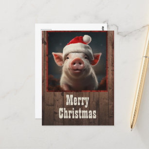 Christmas Pig Postcard