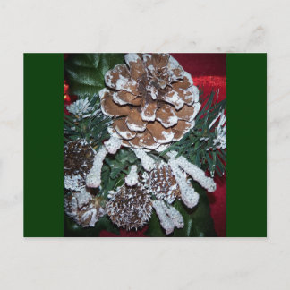 christmas pine cone holiday postcard
