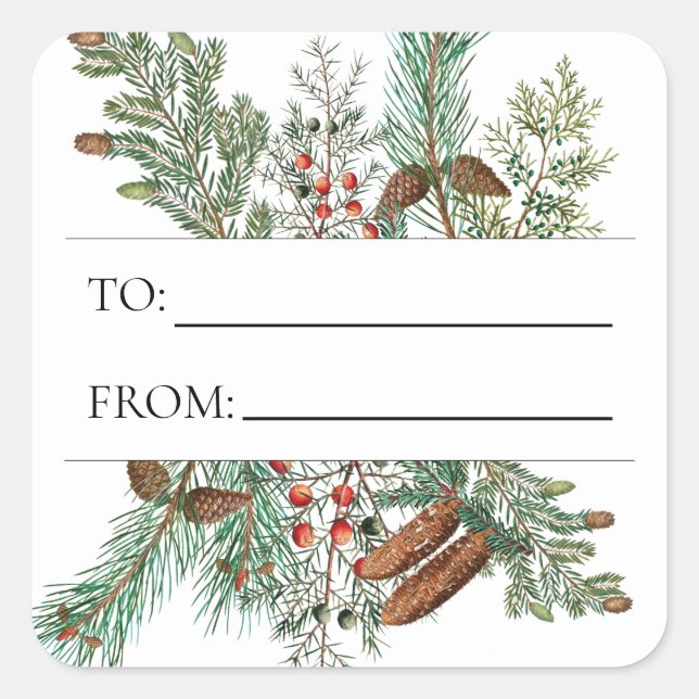 Christmas Pine Conifer Forest Festive Evergreen  Square Sticker (Front)