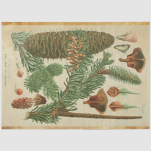 Christmas Pine Decoupage Tissue Paper
