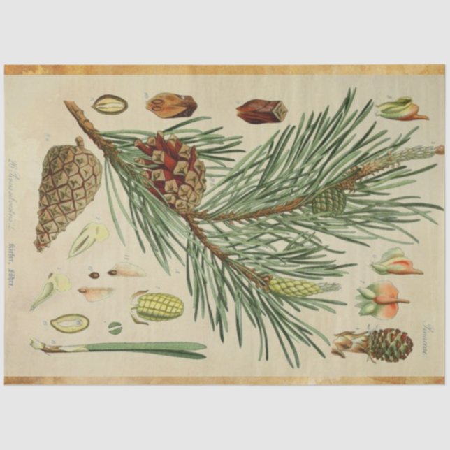 Christmas Pine Decoupage Tissue Tissue Paper (Front)