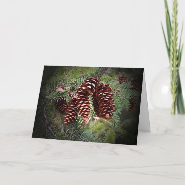 Christmas Pinecone Arrangement Happy Holidays Card (Front)