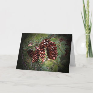 Christmas Pinecone Arrangement Holiday Card