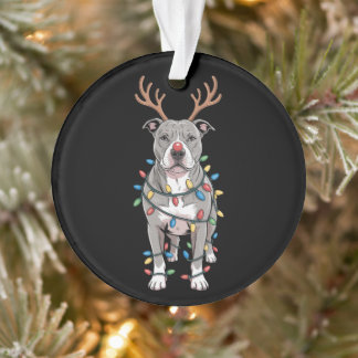 Christmas Pit Bull Reindeer Antlers Xmas Lights Ornament