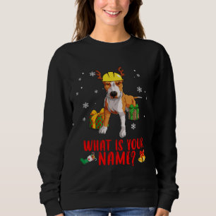 Christmas Pitbull Dog In A Reindeer Construction H Sweatshirt