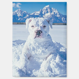 Christmas Pitbull Dog Snowman Magnet