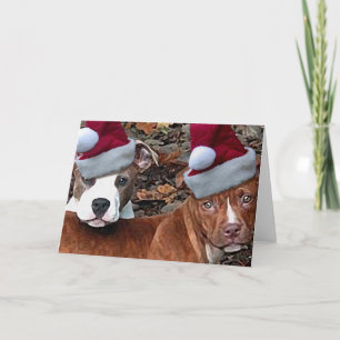 Christmas Pitbull Puppies Greeting Cards