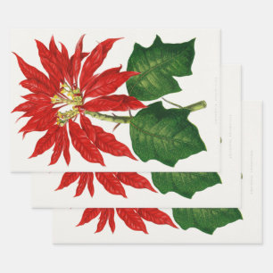 Christmas Poinsetta Flower Red Decoupage Wrapping Paper Sheet