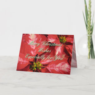 Christmas Poinsettia 2 -customise Holiday Card