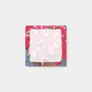 Christmas Poinsettia Abstract Floral Photography Post-it Notes