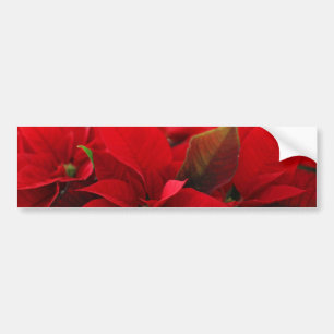 Christmas Poinsettia Bumper Sticker