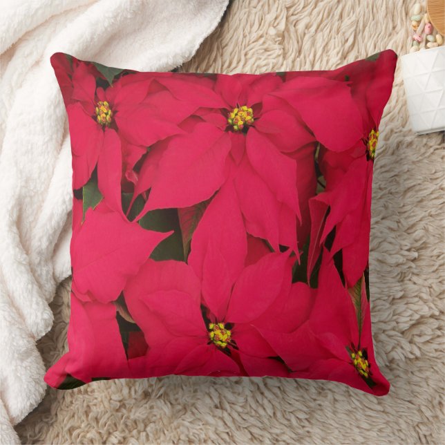 Christmas Poinsettia Cushion (Blanket)