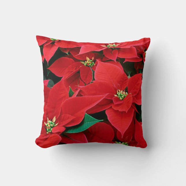 Christmas Poinsettia: Home: Pillows & Throw Pillow (Front)
