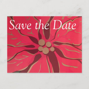 Christmas Poinsettia - Save the Date Postcard