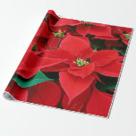 Christmas Poinsettias Wrapping Paper<br><div class="desc">Christmas winter poinsettias are the loveliest. Beautiful as they are, real poinsettias are poisonous to our beloved kittehs and goggies, so here are some lovely poinsettias that are non-toxic and critter-safe! Be sure to check out our other CHRISTMAS and HANNUKAH designs and gifts…for people and cats and dogs. Don’t miss...</div>