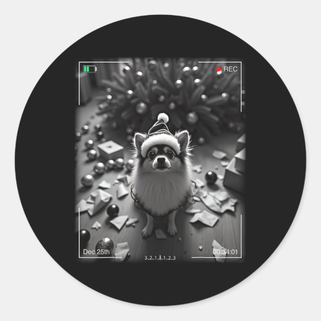 Christmas Pomeranian Caught On Camera  Classic Round Sticker (Front)