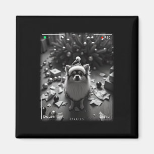 Christmas Pomeranian Caught On Camera Magnet