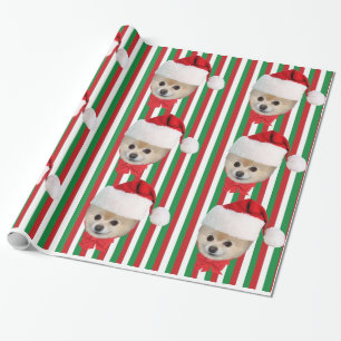 Christmas, Pomeranian Dog, Santa Hat Wrapping Paper