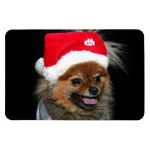 Christmas pomeranian flexible photo magnet