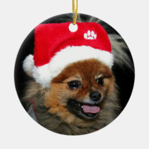 Christmas Pomeranian ornament