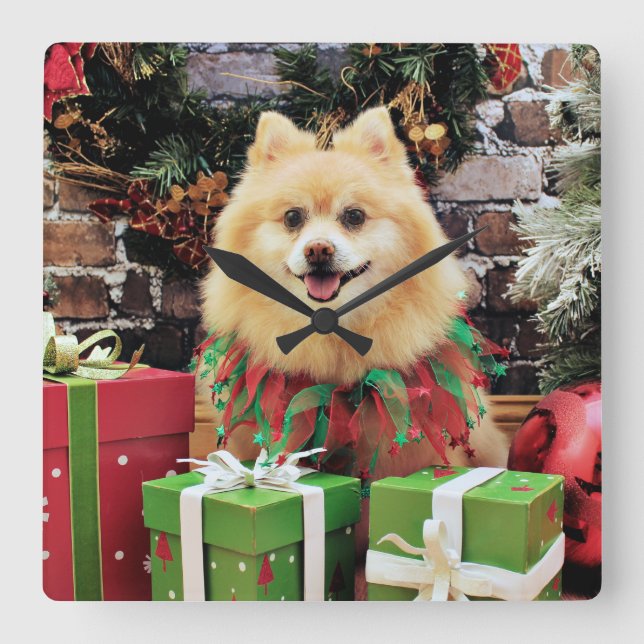 Christmas - Pomeranian - Sammy Square Wall Clock (Front)
