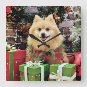 Christmas - Pomeranian - Sammy Square Wall Clock