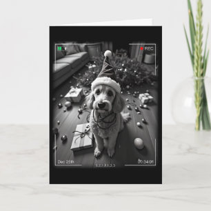 Christmas Poodle Caught On Camera Card