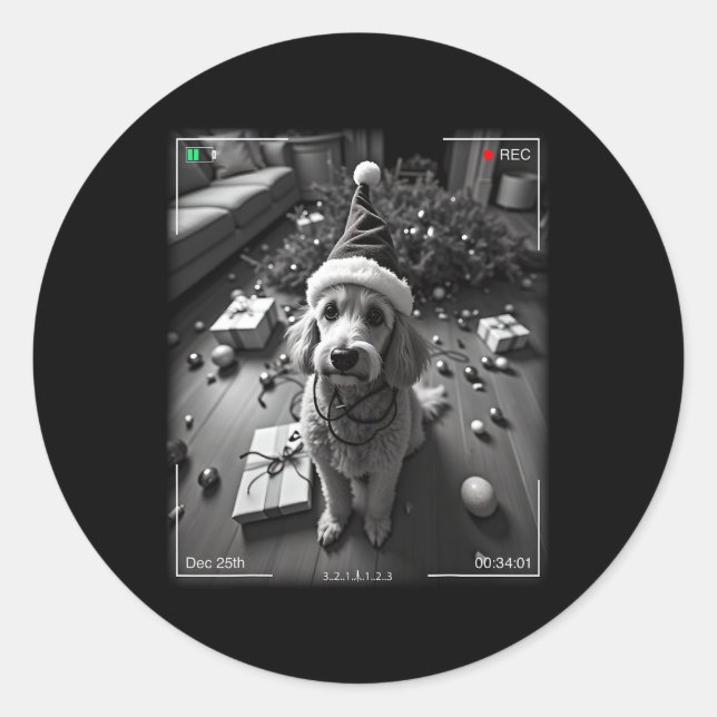 Christmas Poodle Caught On Camera  Classic Round Sticker (Front)