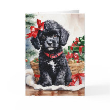 Christmas Poodle puppy