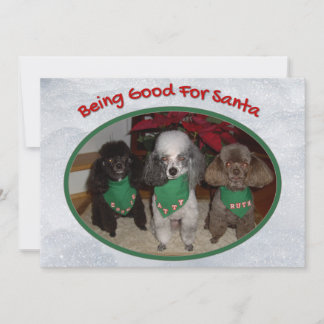 Christmas Poodles Being Good For Santa Holiday Card