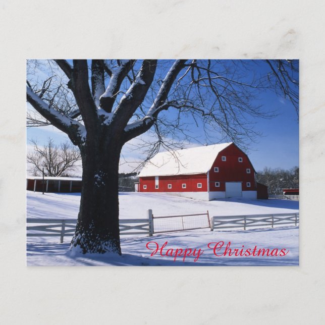 Christmas Postcard (Front)