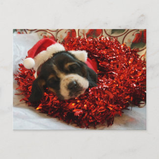 Christmas Postcard Basset Hound