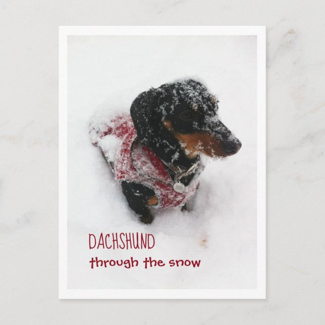 Christmas Postcard - Dachshund Through The Snow (Front)