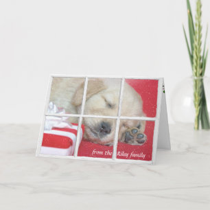 Christmas present-golden retriever pup in window holiday card