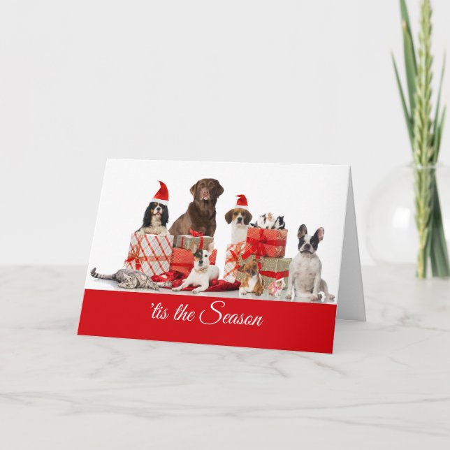 Christmas | Pretty Gifts Santa Dogs and a Cat Holiday Card (Front)