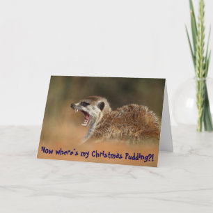 Christmas Pudding - KMP Christmas Card