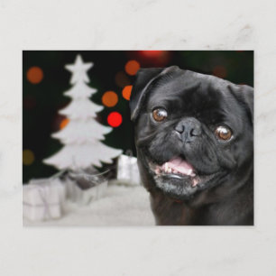 Christmas pug dog holiday postcard