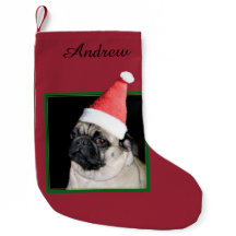Christmas pug dog