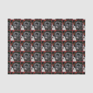 Christmas pug dog tissue paper