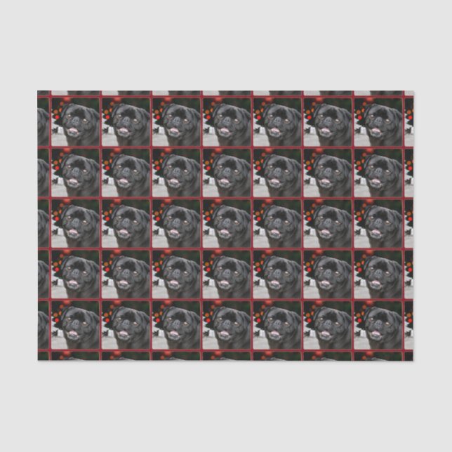 Christmas pug dog tissue paper (Front)