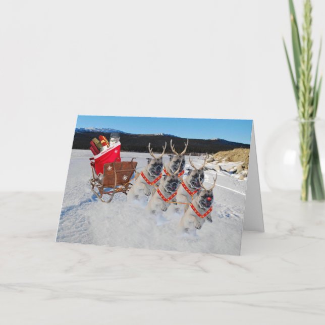 Christmas Pug Dogs Pulling a Sleigh Holiday Card (Front)